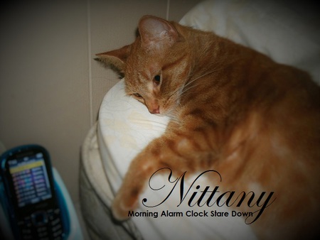 Nittany