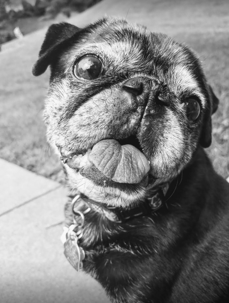 Roscoe