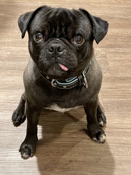 Edgar