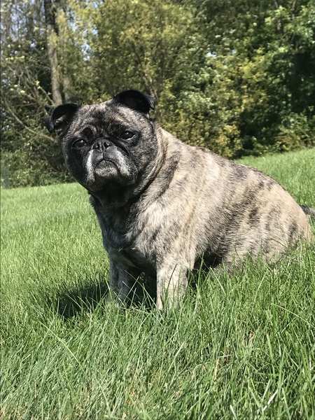 Maggie 