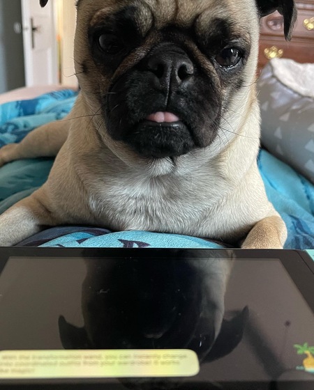 Allie Capone