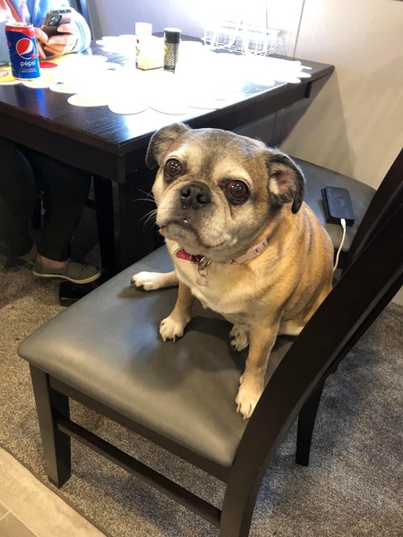 Bella