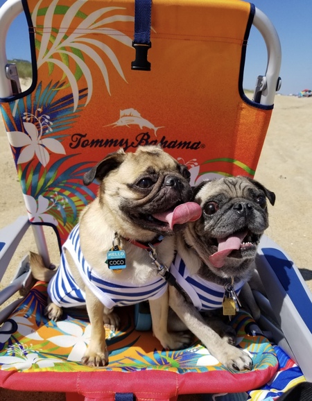 Bob and Coco