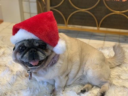 Lilah 