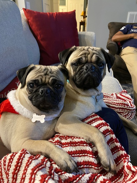 Frank and Tootie