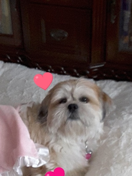Rosy