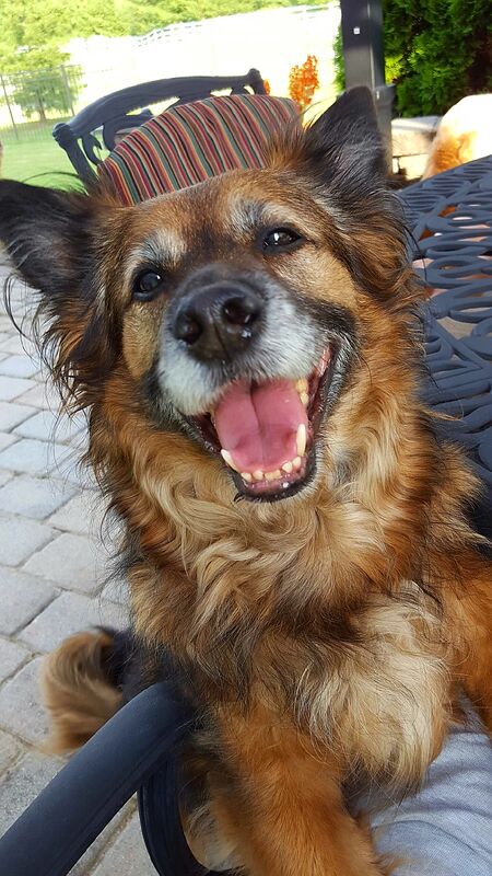 Toby