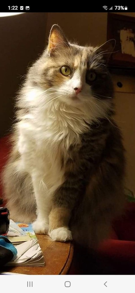 Casey