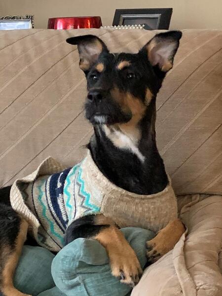 Gizmo