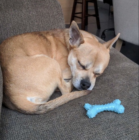 Winston 