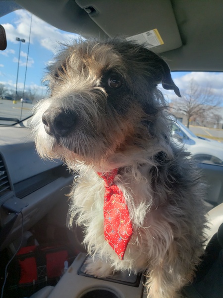 Franklin