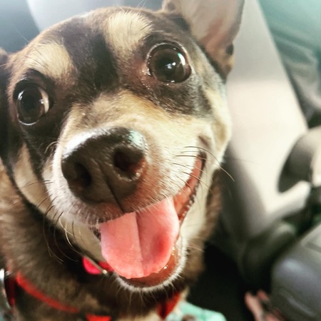 Rocky- adopted name Sosa