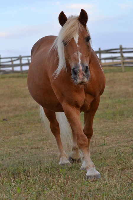 Midas aka Mighty