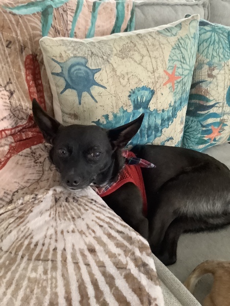 Squiggy aka “Rascal”