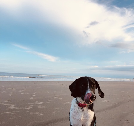 Kona