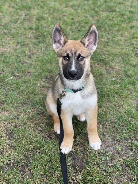 Duncan 