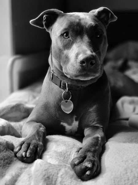 Maggie