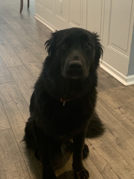 Kona 