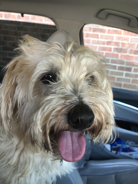 Ernie