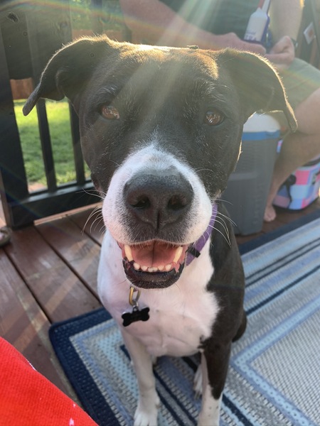 Luna Aka LuLu