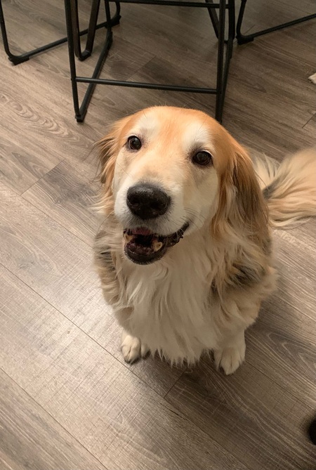 Penny