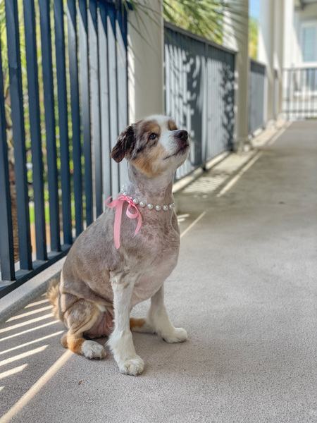 Roxy