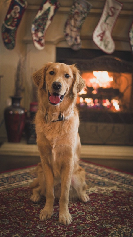 Tucker
