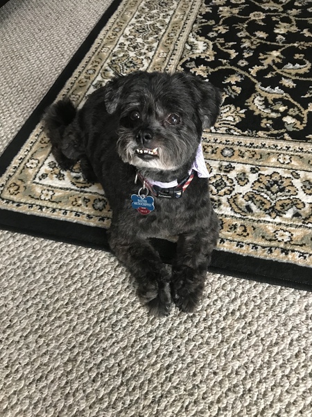 Baxter
