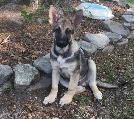 Matteo