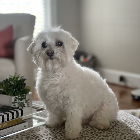 Baxter 