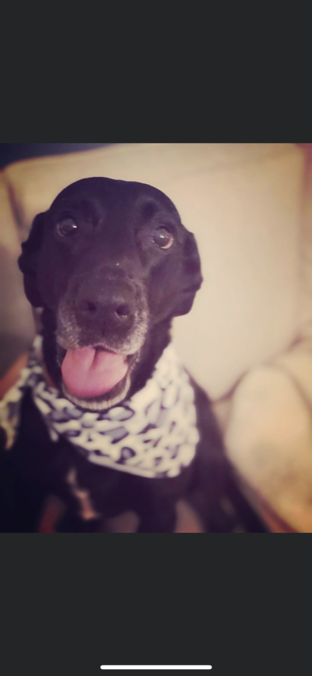 Elsie