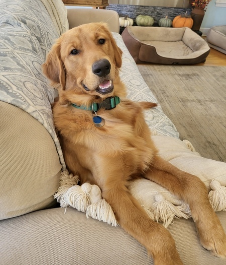Bogey