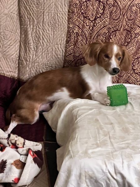 Roscoe 