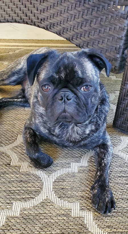 Theodore