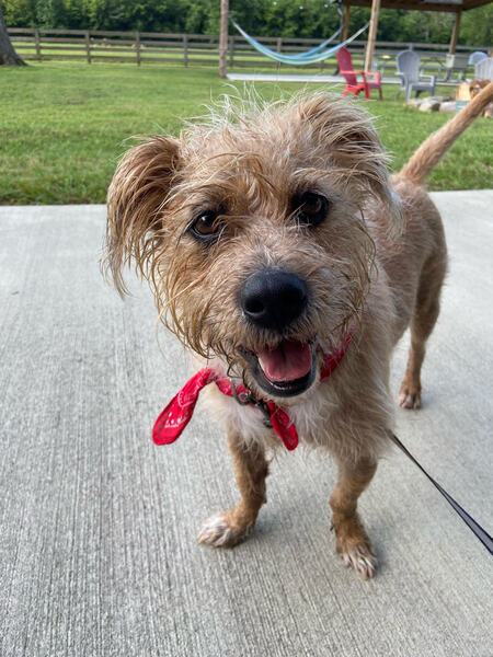 Lucy