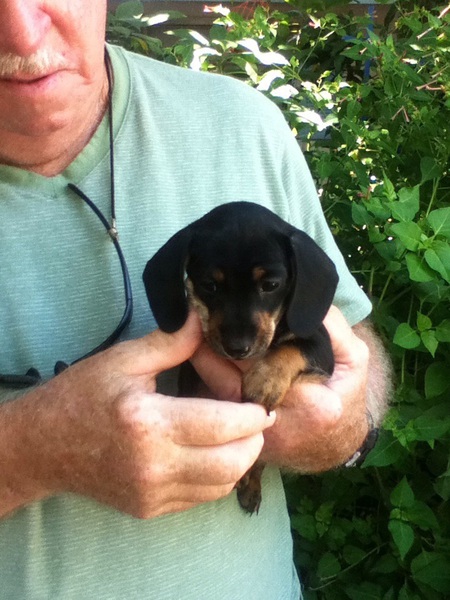 Daisy Mae