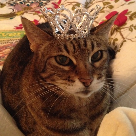 Miss Diva