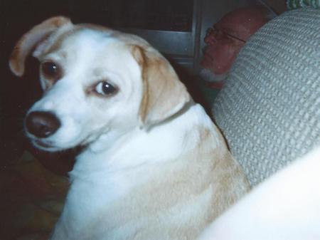Gordy