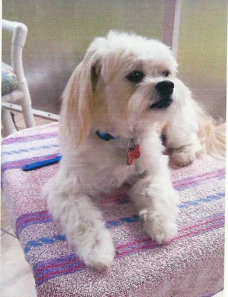 Avery