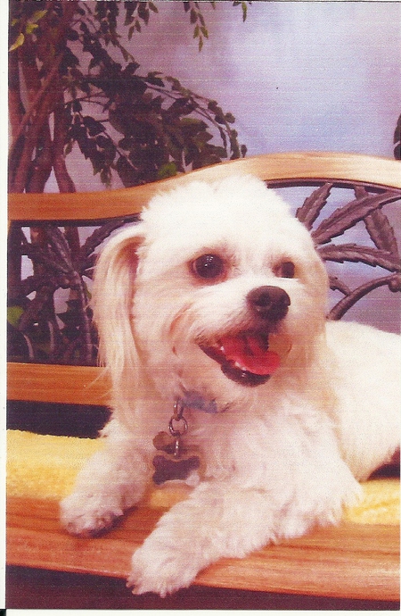 Avery