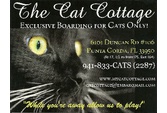 The Cat Cottage 