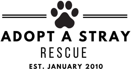 Logo for 2023 Pet Calendar Photo Contest