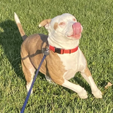 Entry image for Chance