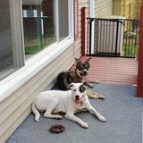 Entry image for Saber and Shadow 