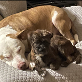 Entry image for Jewl’s and Chance