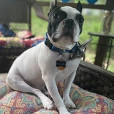 Entry image for Billy Joel