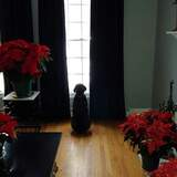 Entry image for Olive