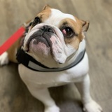 Entry image for LILO 