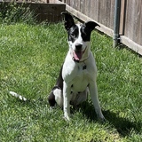 Entry image for Luna