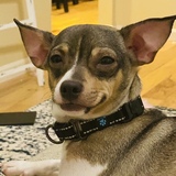 Entry image for Norman